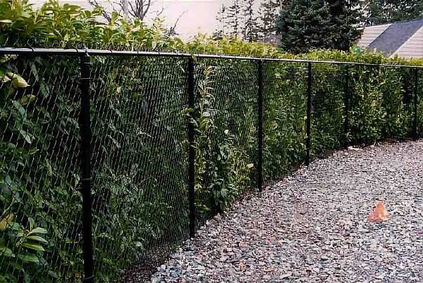 Сетчатая ограда